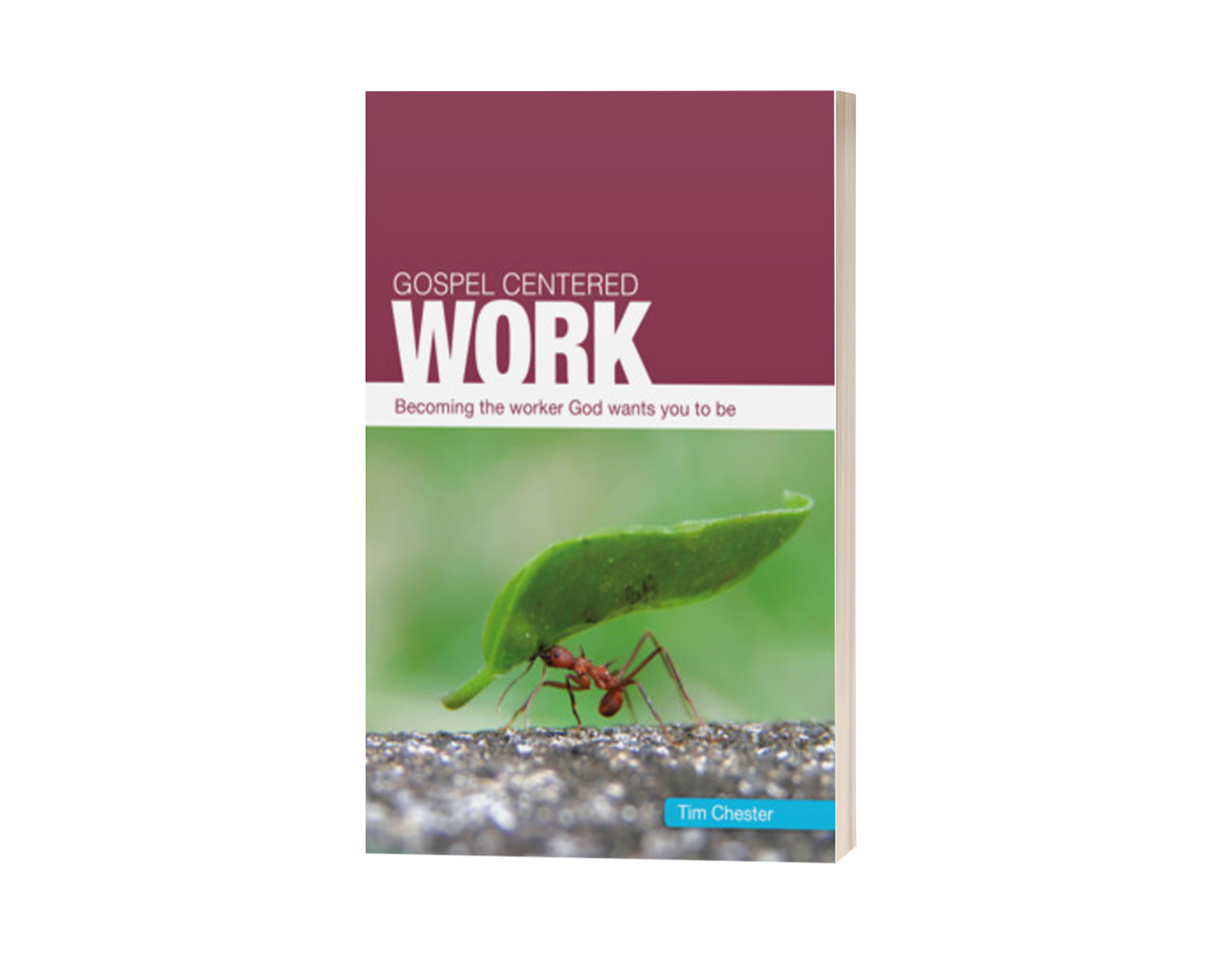 Gospel Centered Work: Becoming the Worker God Wants You to Be