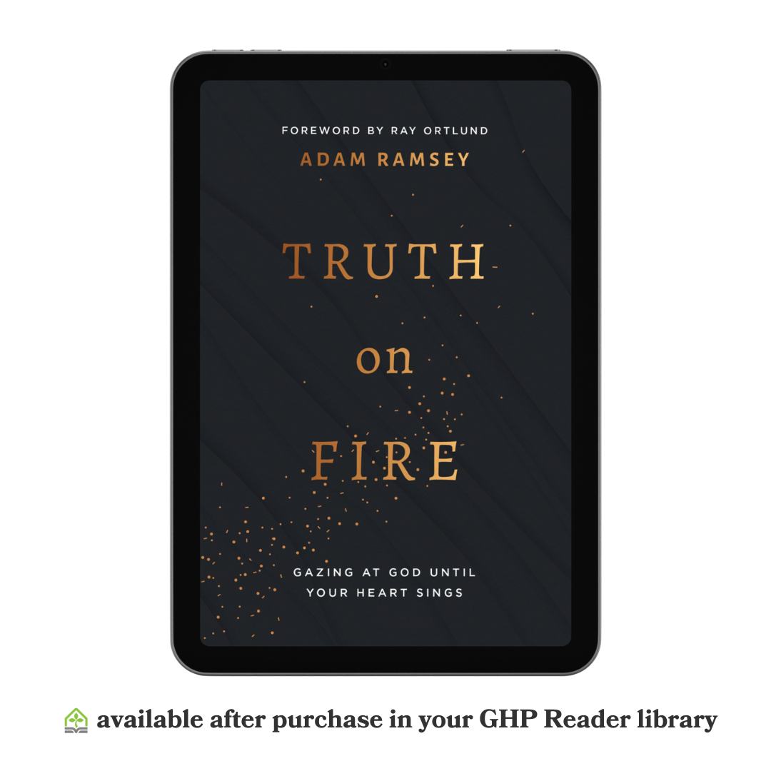 Truth on Fire (eBook)