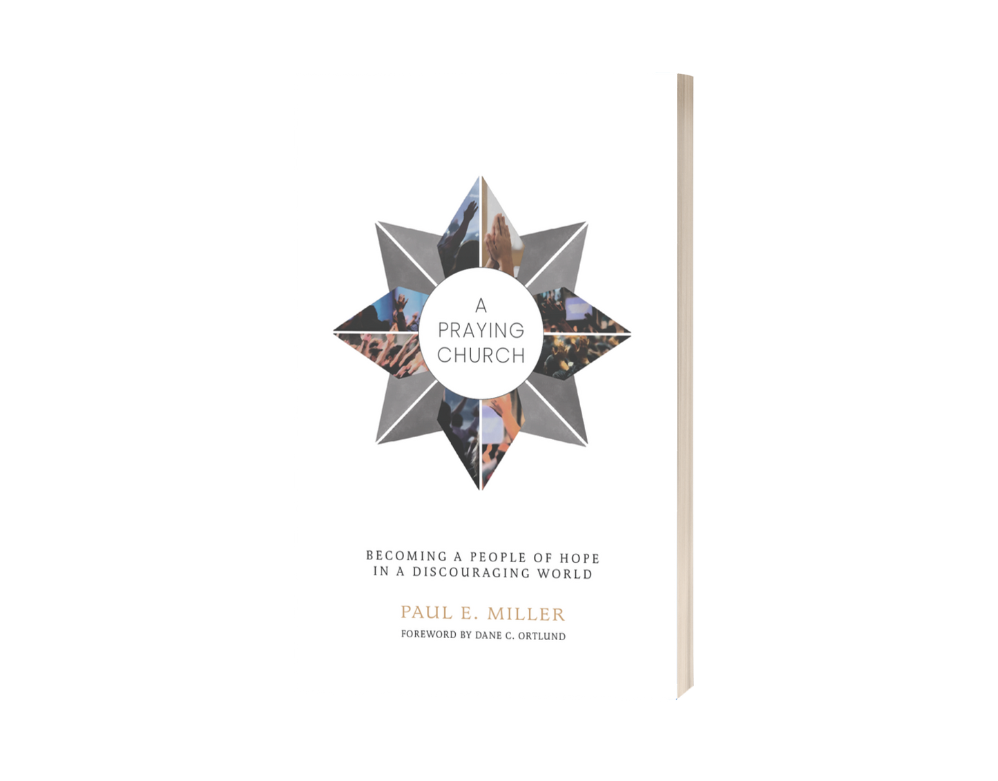 祈祷的教会:成为令人沮丧的世界中充满希望的人民