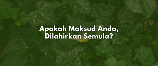 APAKAH MAKSUD ANDA, DILAHIRKAN SEMULA?