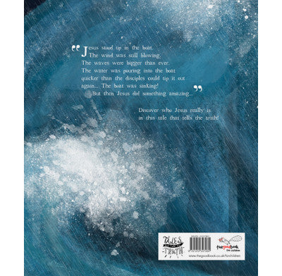 The Storm That Stopped Storybook
